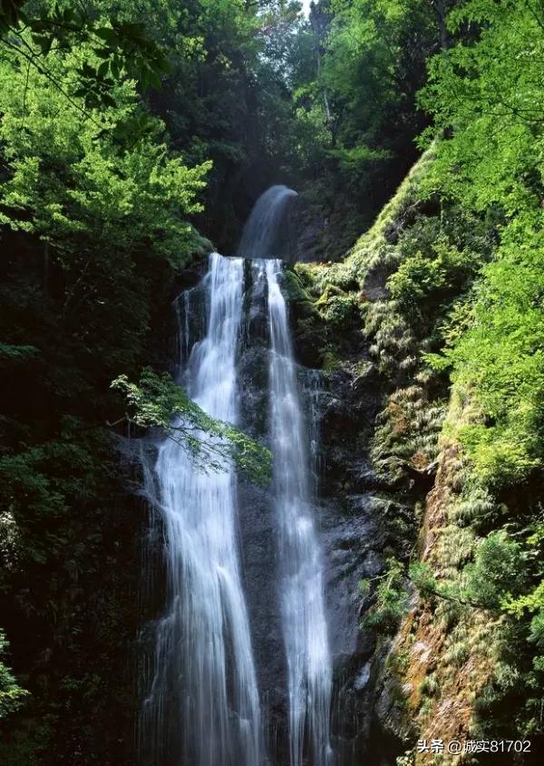 绝世唐门:盘点霍雨浩拥有的8块魂骨,它们都有怎样的能力(上)